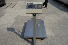 ����X����_�ӎ�4-20������̖