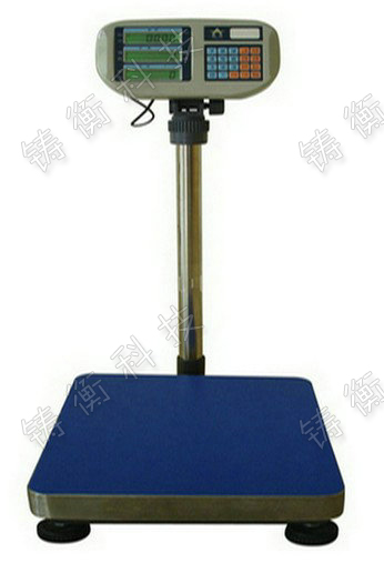 計數(shù)電子臺秤