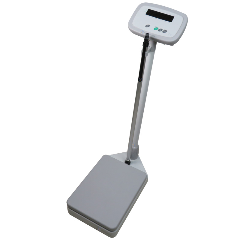 �������w�w�سӣ����U�y(c��)�������w